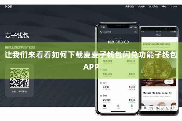 让我们来看看如何下载麦麦子钱包闪兑功能子钱包APP