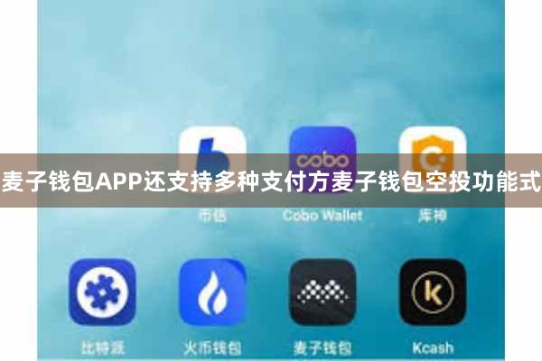 麦子钱包APP还支持多种支付方麦子钱包空投功能式