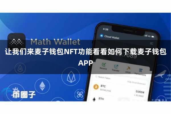 让我们来麦子钱包NFT功能看看如何下载麦子钱包APP