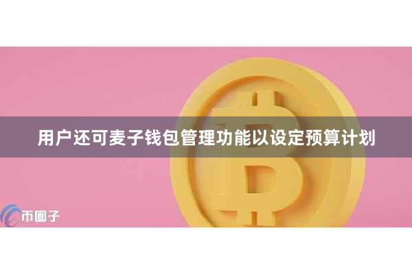 用户还可麦子钱包管理功能以设定预算计划