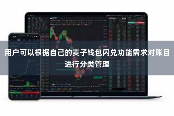 用户可以根据自己的麦子钱包闪兑功能需求对账目进行分类管理