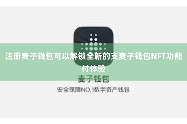 注册麦子钱包可以解锁全新的支麦子钱包NFT功能付体验