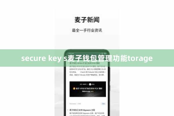 secure key s麦子钱包管理功能torage