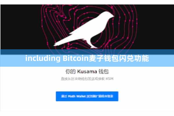 including Bitcoin麦子钱包闪兑功能