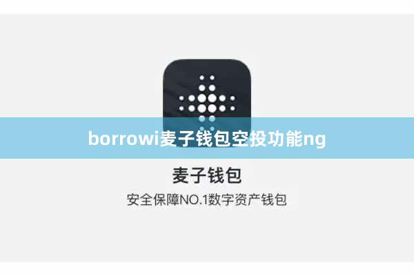 borrowi麦子钱包空投功能ng