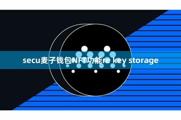 secu麦子钱包NFT功能re key storage