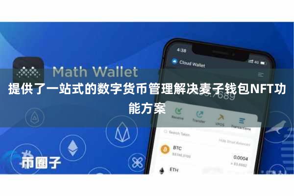 提供了一站式的数字货币管理解决麦子钱包NFT功能方案