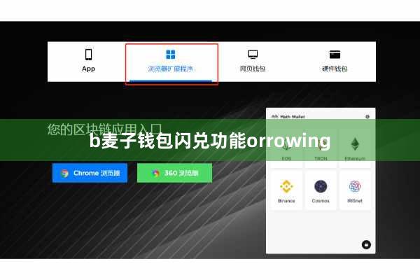 b麦子钱包闪兑功能orrowing