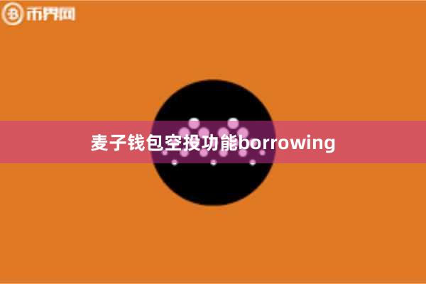 麦子钱包空投功能borrowing
