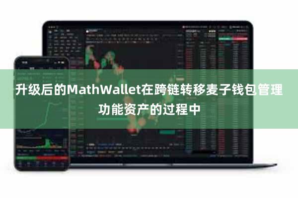 升级后的MathWallet在跨链转移麦子钱包管理功能资产的过程中