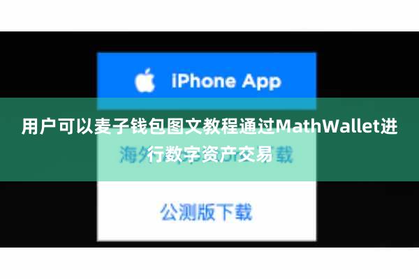 用户可以麦子钱包图文教程通过MathWallet进行数字资产交易