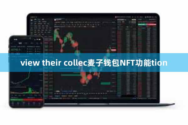 view their collec麦子钱包NFT功能tion
