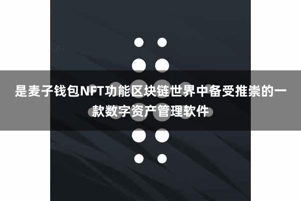 是麦子钱包NFT功能区块链世界中备受推崇的一款数字资产管理软件