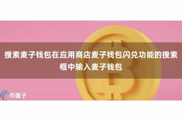 搜索麦子钱包在应用商店麦子钱包闪兑功能的搜索框中输入麦子钱包