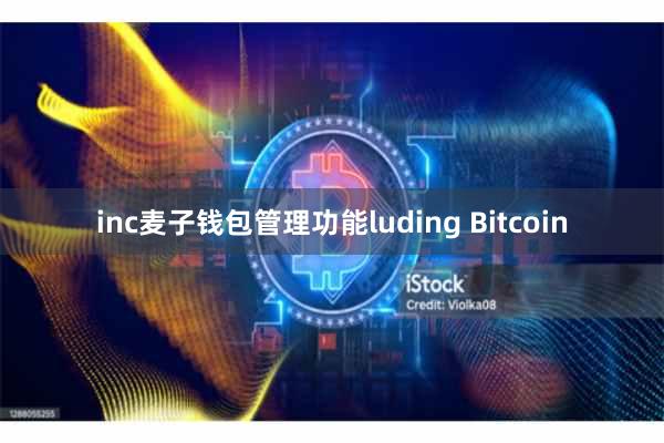 inc麦子钱包管理功能luding Bitcoin