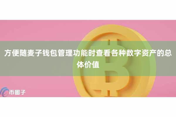 方便随麦子钱包管理功能时查看各种数字资产的总体价值
