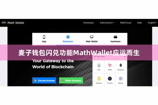 麦子钱包闪兑功能MathWallet应运而生
