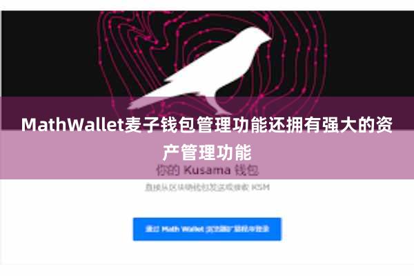 MathWallet麦子钱包管理功能还拥有强大的资产管理功能