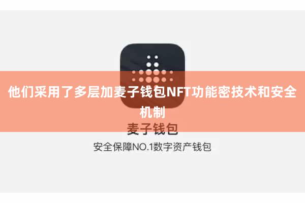 他们采用了多层加麦子钱包NFT功能密技术和安全机制