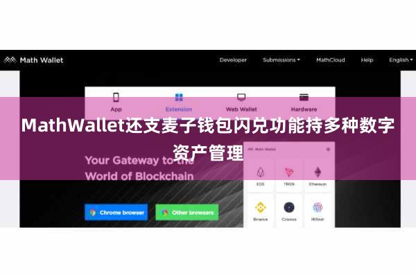 MathWallet还支麦子钱包闪兑功能持多种数字资产管理